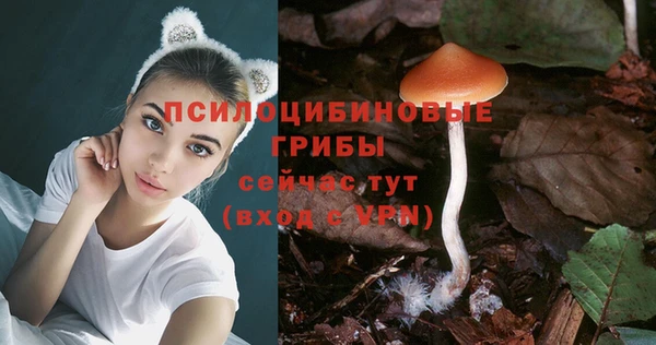 мескалин Арсеньев