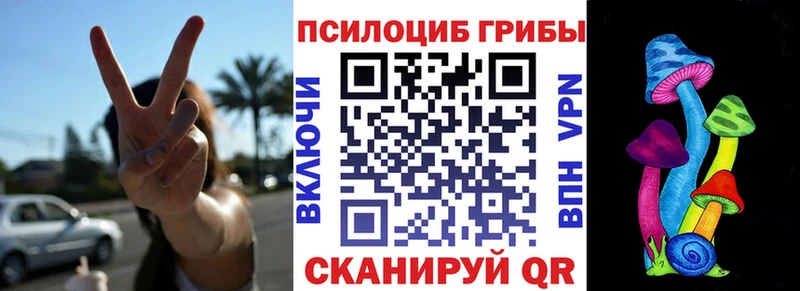 Псилоцибиновые грибы Psilocybe  Людиново 