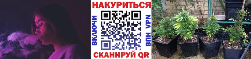цена наркотик  Людиново  Бошки марихуана план 